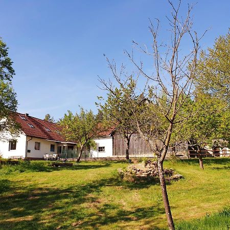 Die Alm In Schoellbuechl, Privatzimmer Sankt Martin  Eksteriør billede