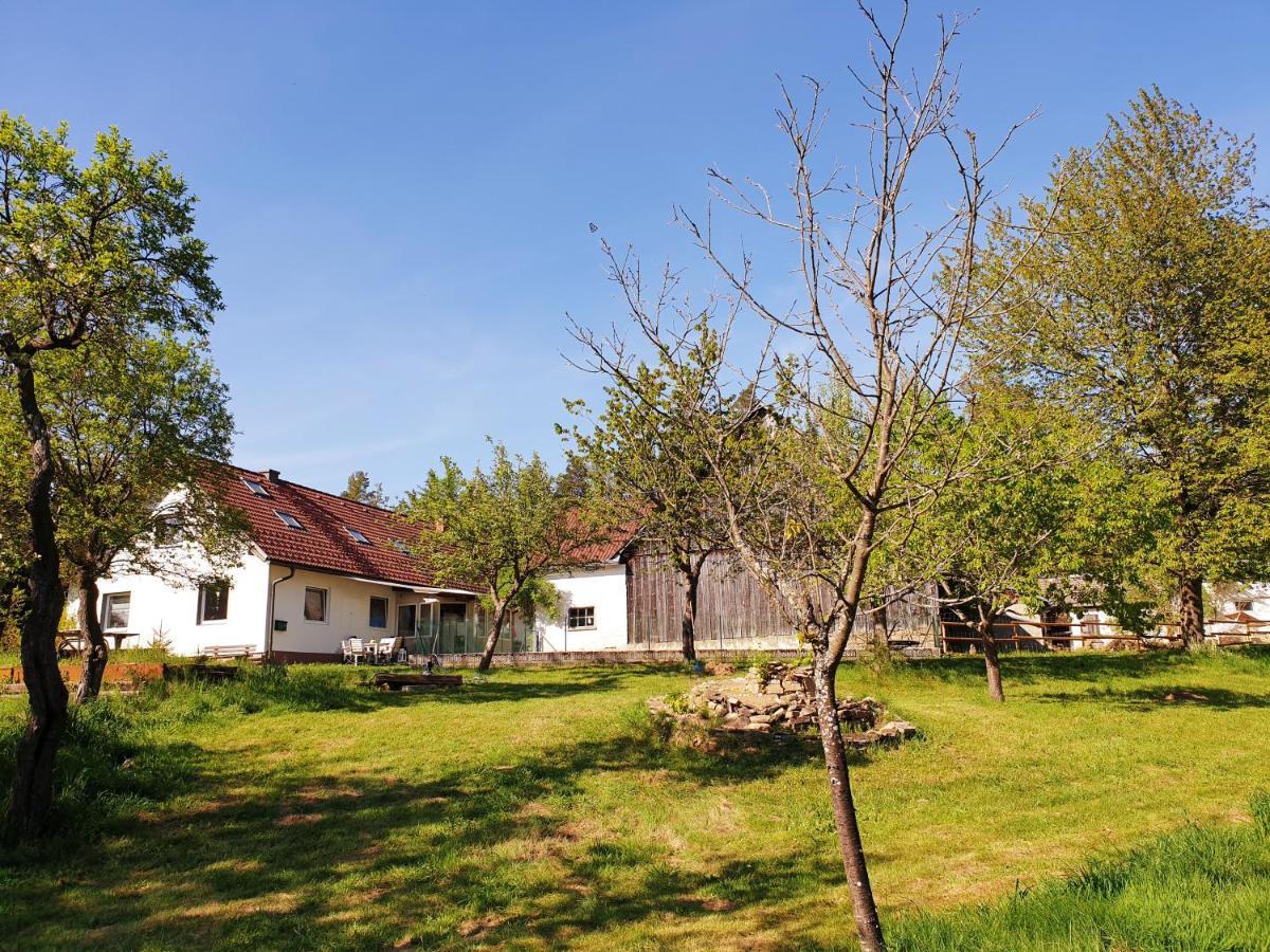 Die Alm In Schoellbuechl, Privatzimmer Sankt Martin  Eksteriør billede